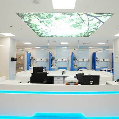 gallery