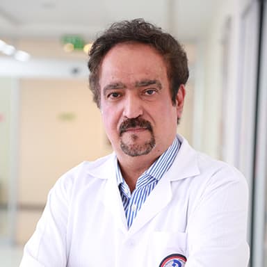 دکتر محمود محمد زاده شبستری 